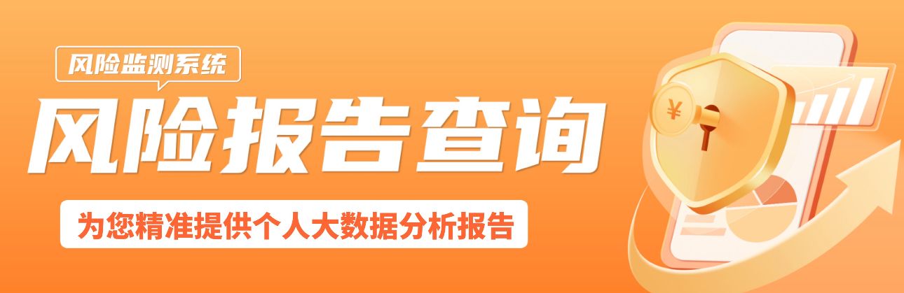 风险报告查询